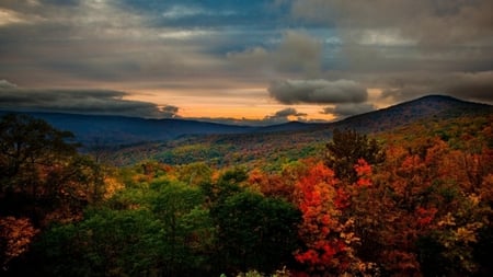 Autumn time - beauty, trees, nature, autumn