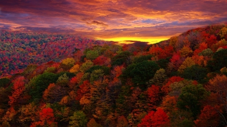 Colors of Autumn - beauty, sunset, nature, autumn