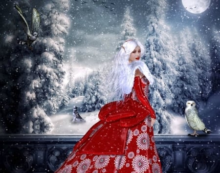 Elven snow queen - winter, elf, owl, snow