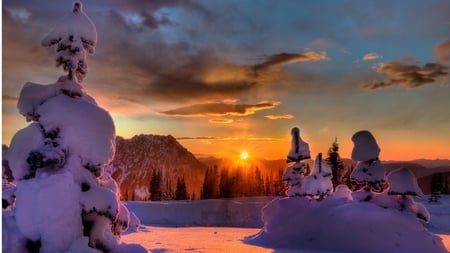 Splendid Winter Sunset - sky, blanket, winter, dressed, beautiful, sunset, snow, beutiful