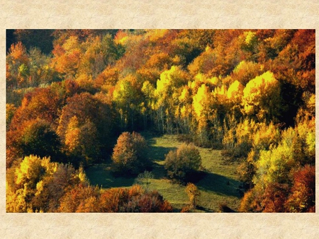 Beautiful Golden Autumn - beautiful, nature, autumn, golden