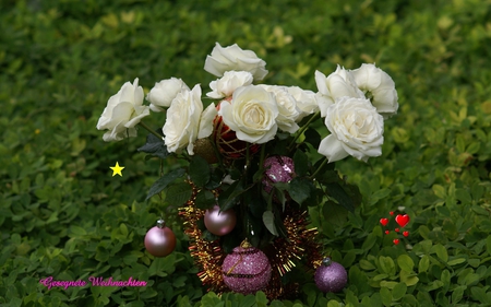 winter roses - white roses, winter, bouquet, still life