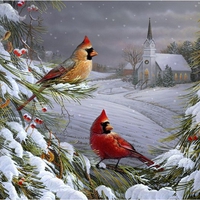 Cardinals