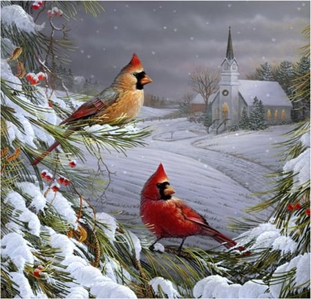 Cardinals - nature, church, snow, cardinal, winter, bird, christmas