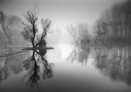 through_the_misty_air - reflections, morning, nature, trees, fogs, house