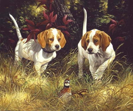 By Linda Picken - painting, art, puppy, dog, animal, linda picken