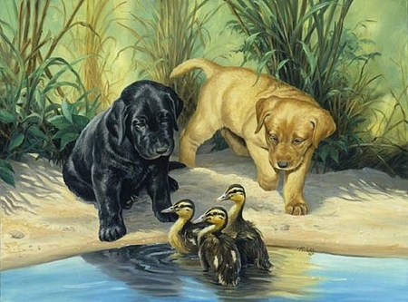 By Linda Picken - painting, art, puppy, dog, tortle, animal, linda picken