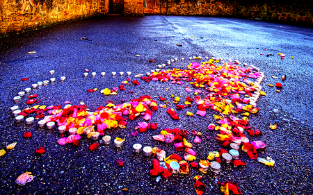 Candles and Petals - beauty, roses, heart, candles, colorful, rose, road, with love, pretty, petals, valentines day, romance, rose petals, love, candle, for you, lovely, nature, romantic, red, beautiful, flowers, colors