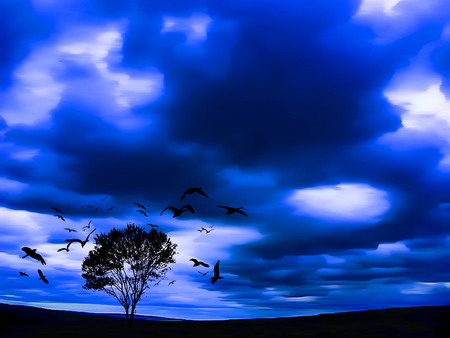 Mystic tree - clouds, blue, mystic, background, tree, sky