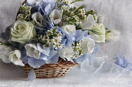 Still life - nice, beauty, roses, photography, delicate, basket, bouquet, rose, still life, white, pretty, cool, petals, gently, harmony, soft, lovely, blue, beautiful, flowers, colors, photo, flower, elegantly