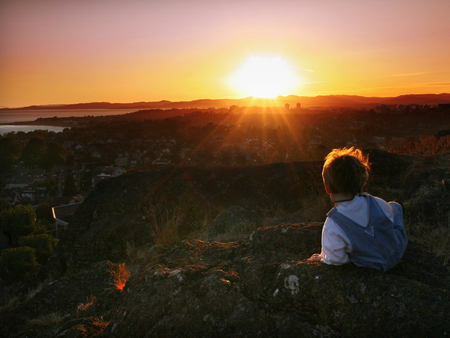 Looking into the sun - nature, child, field, sun