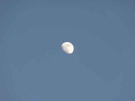 Moon Shot - moon, sky, moon shot, moon sky