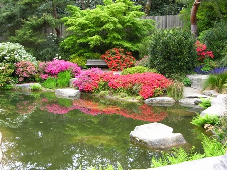 Garden Pond - garden, pond, trees, water