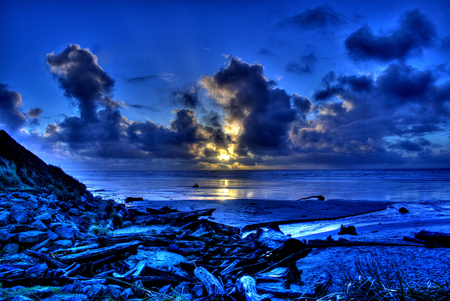 Blue Dawn - blue, beach, sunrise, driftwood, ocean, dark