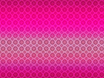 Hot Pink Circles