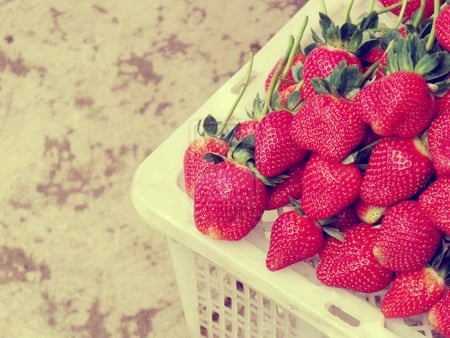 strawberries - fruit, bucket, delicious, red