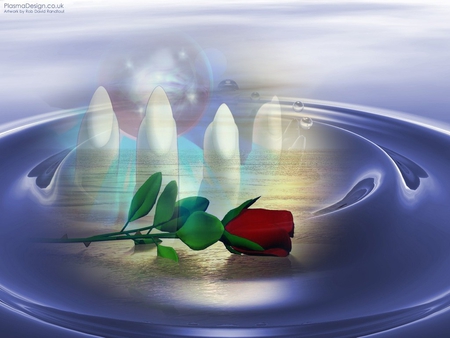 the red rose for all my DN memebers - water, lovely, rose, red