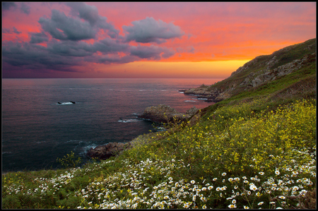 Fantasy Sunset - clouds, sea, magical, pink, mountain, flowers, white, sunset, fantsy, sky