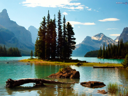 Tree Island - land, trees, rocks, water