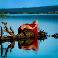 Beauty at the Lake