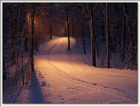 follow the road - snow, winter, following, road, lights