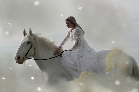 Beautiful Maiden and Companion - companion, horse, maiden, beautiful