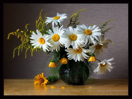 Still life - delicate, beautiful, flowers, vase, harmony, still life, nice, lovely, daisies