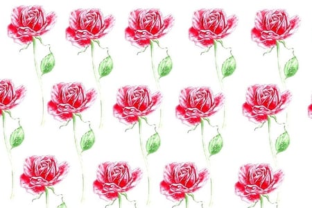 Roses - roses, rose, pink, pink roses, pink rose