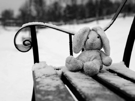 FORGET - winter, snuggle bunny, photography, bw, snow, toys, bench, forget