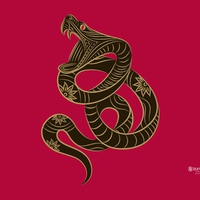 chines,sua,snake,wallpaper