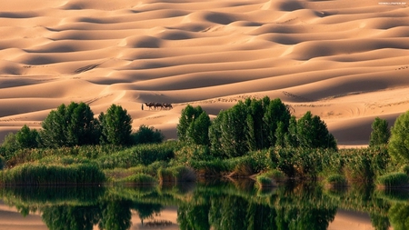 GORGEOUS VIEW - scenic, nature, desert, view