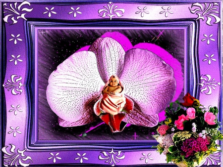 FLOWERS - flowers, nature, 2012, frame, orchid, color, baby