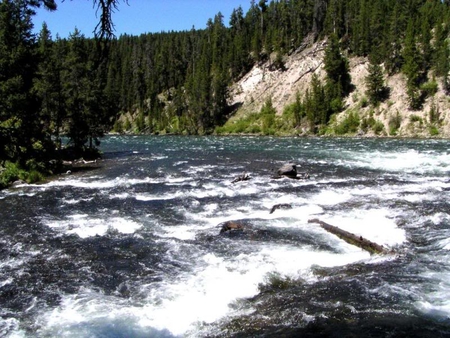 LeHardy Rapids - rapids, lehardy, trees, river