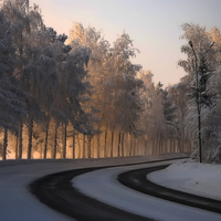 Frosty Day