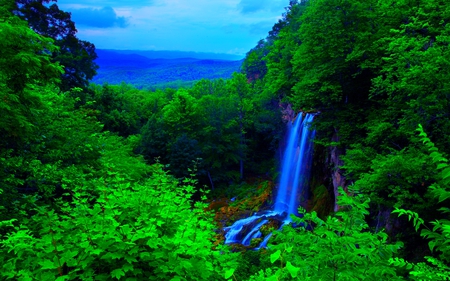 MOUNTAIN FALLS - forest, nature, mountain, falls