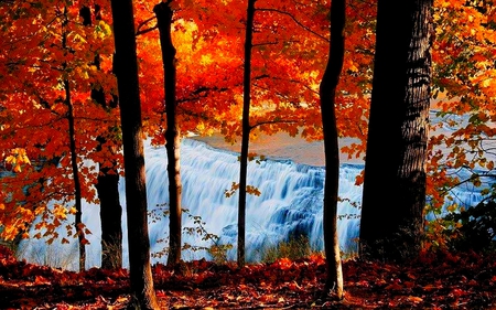 HIDDEN FALLS - hidden, forest, autumn, falls