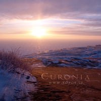 Sandy seacoast of Curonia in winter