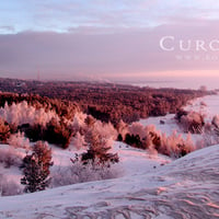 Sandy seacoast of Curonia in winter