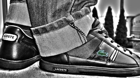 Lacoste - brand, fullhd, cool, lacoste, shoes