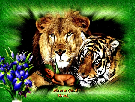 FLOWERS - nature, lion, baby, color, flowers, 2012, frame