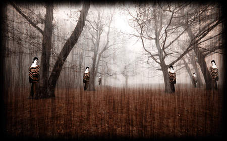 bizarre forest - dark, forest, trees, vintage