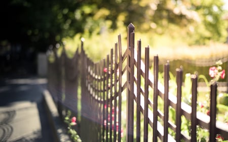 walking home - abstract, outdoors, nature, photography, beauty, spring, fence