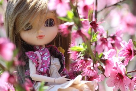 beautiful girls sitting in flowers - flowers, sitting, lovely, small barbie