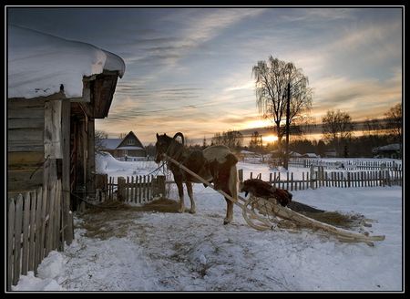 A Winter's Tale.. - sky, winter, sunset, horse, rural, sleigh, snow, beautiful, tree