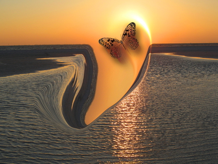 Butterfly illusion - butterfly, reflection, illusion, sun, water, orange, sea, waves