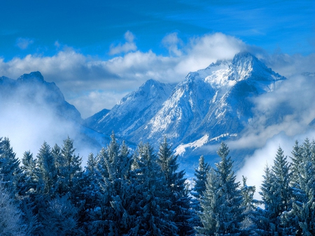 Mountain in winter - sky, hills, trees, mountain, winter, peaks, nature, clouds, snowy