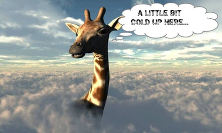 a long giraffe - air, giraffe, high, clouds