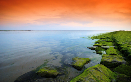 Flood Tide - pc, panorama, colorful, flood, white, mistiness, amazing, evening, sunr, paysage, wildlife, wallpaper, nature, tranquil, beautiful, high definition, beauty, nice, photography, image, clear, black, foggy, mist, calm, green, desktop, serene, shadows, paisage, hd, blue, tide, fog, awesome, gray, natural, horizon, sundown, darkness, widescreen, view, cool, afternoon, cena, landscape, multi-coloured, computer, dawn, photoshop, sunrise, sunshine, multicolor, clouds, sunsets, orange, morning, paisagem, background, day, moss, plants, serenity, picture, colours, cenario, colors, photo