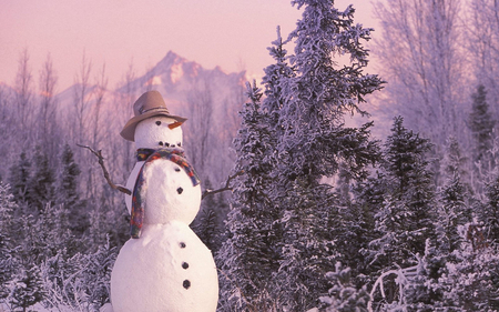 Snowman - white, snowman, winter, nature, snow, cool