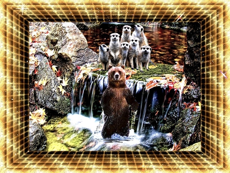 FLOWERS - forest, bear, nture, color, flowers, waterfall, 2012, frame